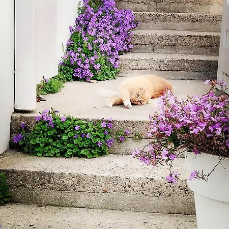 Oranje Nassau Aan Zee