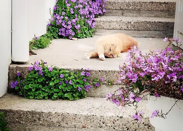 Oranje Nassau Aan Zee